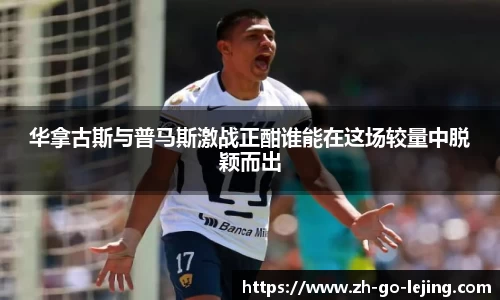 乐竞